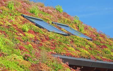 Whitwell living roof systems