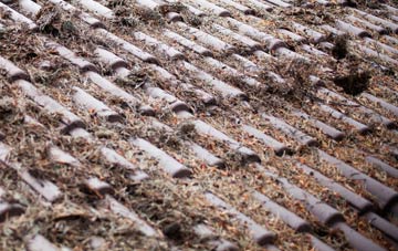 Whitwell roof cleaning companies