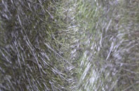 Whitwell fibreglass roof work